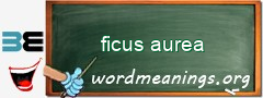 WordMeaning blackboard for ficus aurea